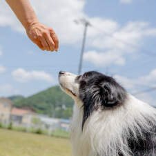 北側控え室　まるでホテルのようなモダンな雰囲気です