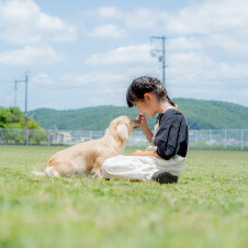 北側控え室　吊戸を開くと会食室と一体的になります