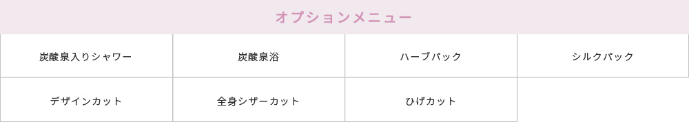 オプションメニュー