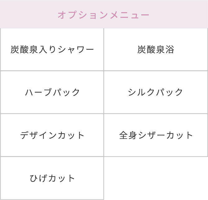 オプションメニュー